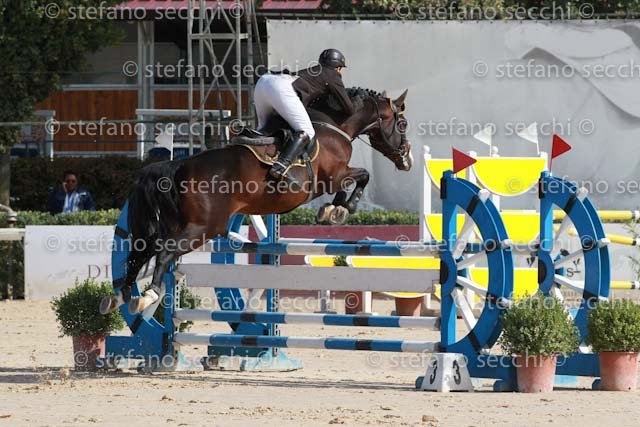 SESTINI_WANDERER_GIO CAV 2011_SS3_0595.jpg